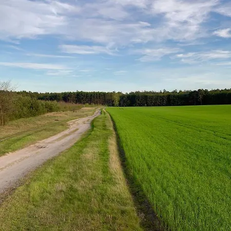 Naturnahe Gaestewohnung Im Heidelandhaus Henzendorf 아파트 *