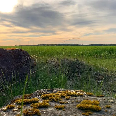Naturnahe Gaestewohnung Im Heidelandhaus Henzendorf