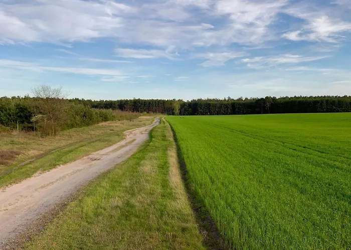Naturnahe Gaestewohnung Im Heidelandhaus Henzendorf Apartamento *