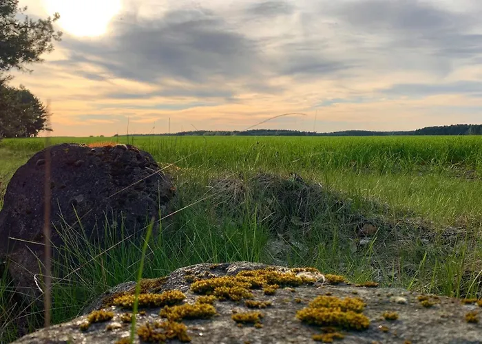 Naturnahe Gaestewohnung Im Heidelandhaus Henzendorf